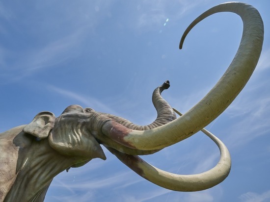 7-метровый мамонт появится на берегу реки Дон рядом с музеем Костенки к Новому году