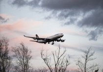Авиакомпания S7 отстранила от полетов экипаж Airbus A321, совершившего аварийную посадку в Иркутске из-за обледенения