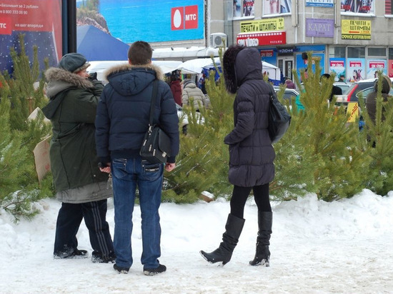   В Тамбове с 15 декабря начнут работать ёлочные базары