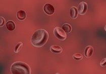 Нутрициолог Евгения Дегтянникова назвала продукты, которые способны повысить уровень гемоглобина в крови