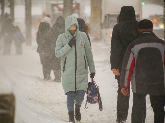 До -26 градусов похолодает на следующей неделе в Новосибирске