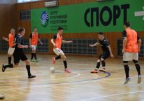 «Сельские спортивные игры» - спартакиада, идущая в Хабаровском крае с 2019 года в рамках федерального проекта «Спорт норма жизни»