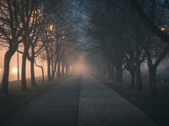 Утром воскресенья в Воронежской области местами опустится туман