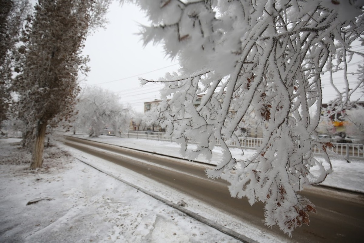 Погода март волгоградская область. Налипание снега на провода и деревья. Зима в Волгограде февраль. Фото налипание снега на проводах.