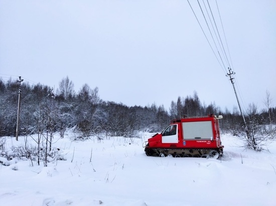 Псковские сотрудники МЧС рассказали об использовании «Бобров» для восстановления электричества