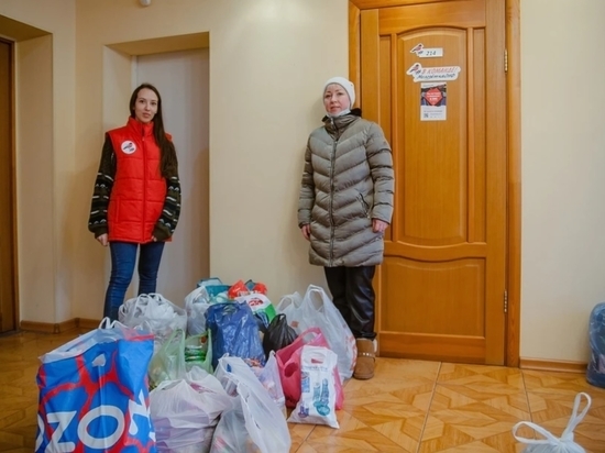 Во Владимире собрали еду для бездомных собак