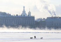 Благодаря минусовой температуре ночь на 5 декабря в Петербурге стала самой холодной с начала зимы, рассказали синоптики.