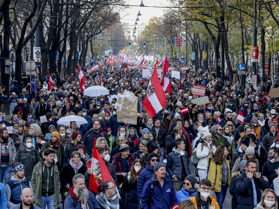 В Австрии и Германии прошли протестные акции