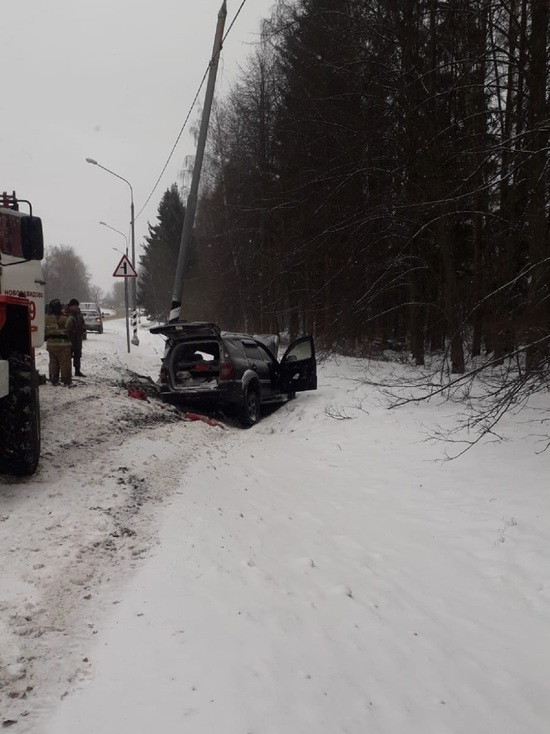 В Тверской области скончался водитель, протаранивший столб