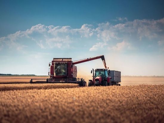 Агропромышленный экспорт Калининградской области превысил показатели 2020 года