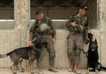 Под Киевом проходят учения на случай Под Киевом проходят учения на случай