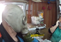 Сотрудница зоомагазина в Барнауле отказалась обслуживать мужчину, который решил использовать противогаз вместо маски