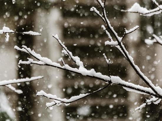 Снежно и немного ветрено будет в Воронежской области в понедельник