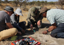 Доисторические следы, насчитывающие миллионы лет и обнаруженные в Африке археологами, вызвали большие споры