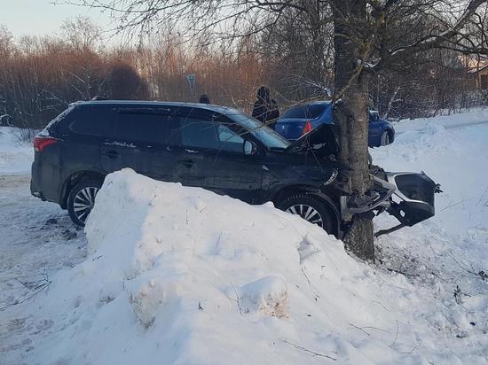 Водитель «Мицубиси» столкнулся с машиной и врезался в дерево под Псковом