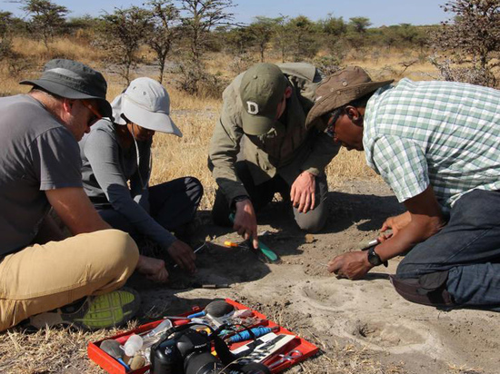 Найденные археологами в Африке доисторические следы вызвали жаркие споры ученых