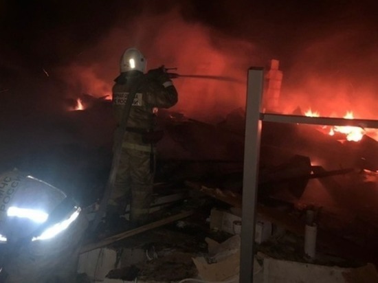В сети появилось видео момента взрыва бытового газа в Пензе