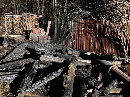 В Спасском районе Рязанской области сгорела баня