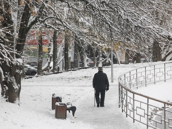 Вильфанд назвал причину грядущего грандиозного снегопада в Москве