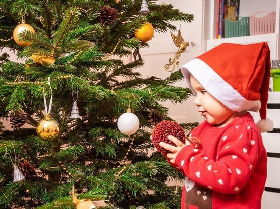 Петербургские школы и детсады призвали отмечать Новый год дома