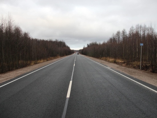 8 дорог к социально значимым объектам отремонтировали по нацпроекту в Псковской области