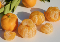 По данным Министерства сельского хозяйства Грузии, осенью текущего года экспорт мандаринов составил 15 тыс