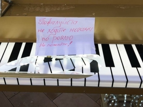 В Курске полицейские ищут вандалов, повредивших рояль на Театральной площади