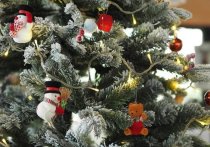 Адвокат Майя Шевцова рассказала, что в случае несоблюдения определенных правил в новогодние праздники можно получить большое количество штрафов