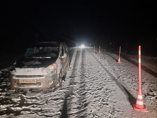 На трассе в Омской области водитель “Пежо” насмерть сбил шедшую по обочине пенсионерку