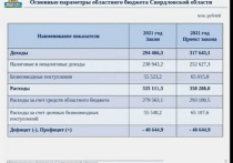 Депутаты Заксобрания Свердловской области в первом чтении согласовали изменения регионального бюджета на 2021 год
