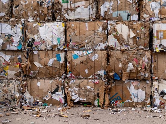 Жители Ленобласти выступили против строительства мусороперерабатывающих заводов