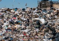 Акции протеста против строительства мусороперерабатывающих заводов прошли в минувшие выходные в Ленобласти. На них были замечены профессиональные активисты-гастролеры, борющиеся далеко не за экологическую повестку.