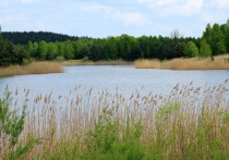 Белгородские власти выделили более 1 млрд рублей на приведение в порядок рек и водоемов в региона