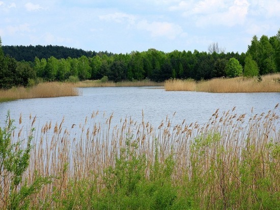В 2022 году в Белгородской области расчистят более 100 км площадей рек и водоемов