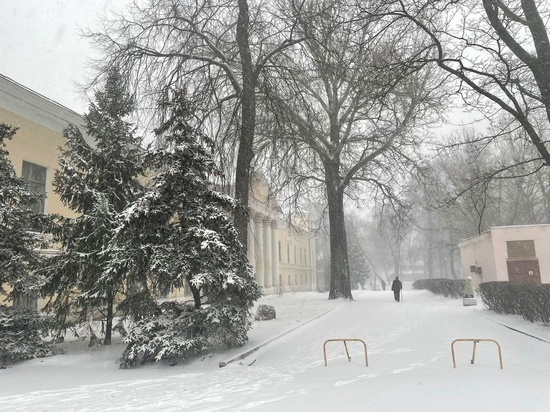 7 декабря в Рязанской области выпустили метеопредупреждение из-за метели