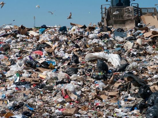 Экология ни при чем: как протесты застопорили мусорную реформу в Ленобласти