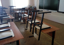 В коррекционной школе Новосибирской области учительница ударила школьника с ограниченными возможностями здоровья за баловство на уроке
