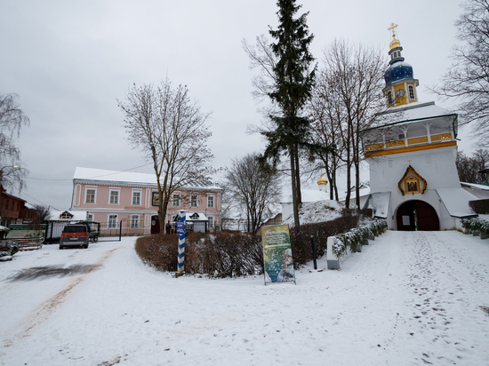 «Петарда в лапы»: жестокое развлечение устроили юные жители Печор