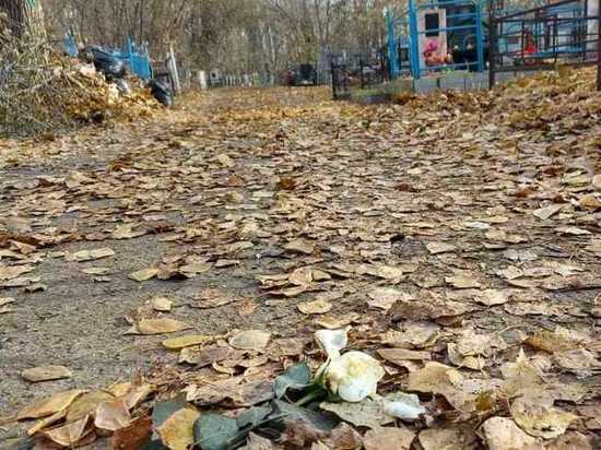 Прокуроры заставили мэрию Новосибирска обезопасить кладбище "Клещихинское"