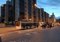 Кондуктора в Красноярске наказали за скандал автобусе №50