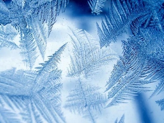 В Тверскую область на несколько дней придут 20-ти градусные морозы