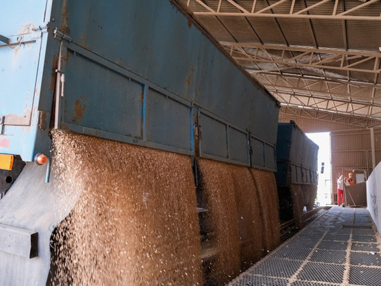 Волгоградская область за год экспортировала зерно на 95 млн долларов