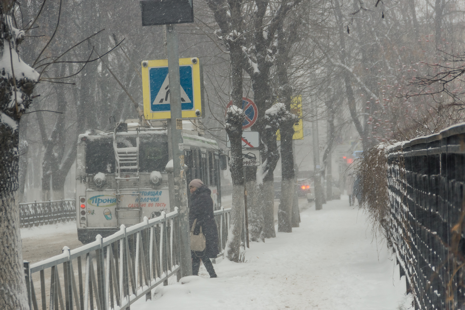 Мощный снегопад обрушился на Рязань: кадры заснеженного города