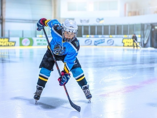Хоккейные клюшки на полмиллиона рублей закупила Псковская область