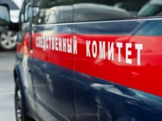 В отношении жителя Угольных Копей завели уголовное дело