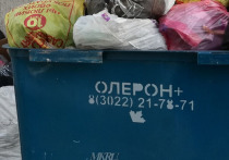 Два комитета Заксобрания – по экономической и аграрной политике – обсудят 8 декабря промежуточные итоги мусорный реформы в Забайкалье