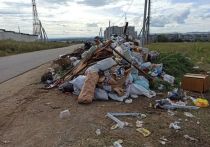 Жители региона должны иметь возможность свободно привозить мусор на полигоны ТКО