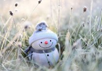 В среду, 8 декабря, по Республике Бурятия ожидается довольно теплая погода