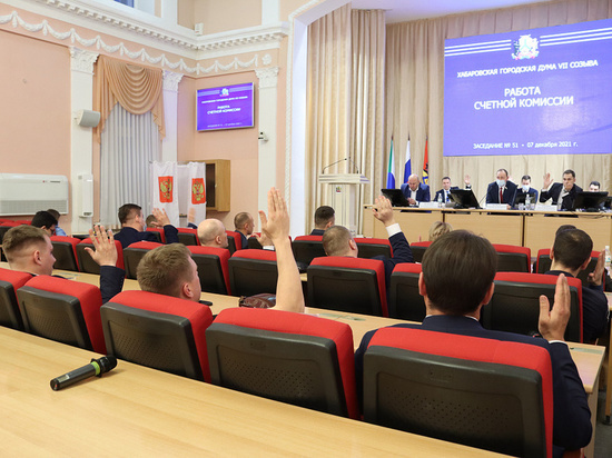 В Хабаровске выбрали меру ответственности депутатам за недостоверные сведения о доходах