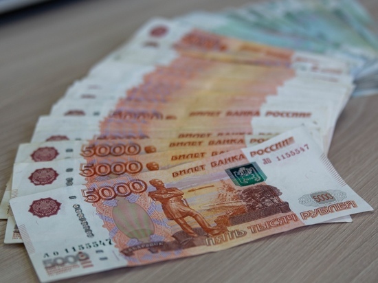 Средний размер взятки вырос до 908 тысяч рублей в Красноярске